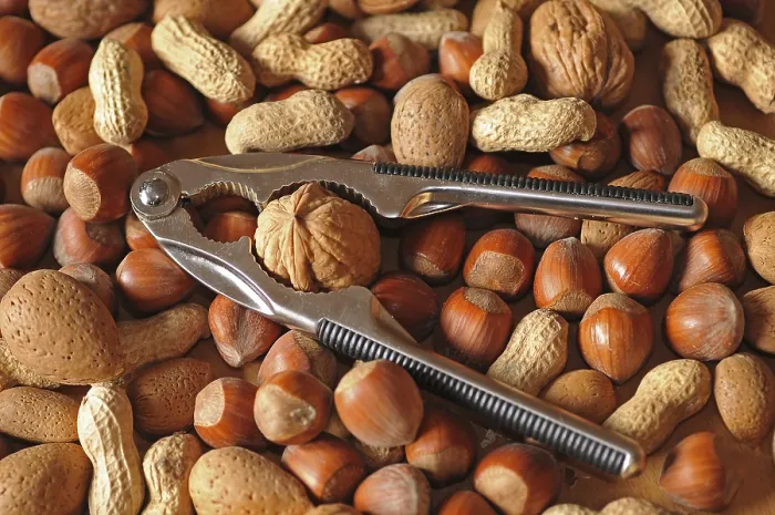 Framed Print : Mixed Nuts with a Nutcracker Print Framed Print : Mixed Nuts with a Nutcracker Print