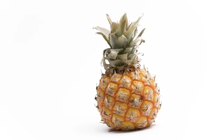 Framed Print : Pineapple Pineapple Print by imageBROKER