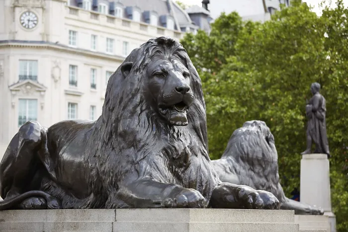 Framed Print : London Trafalgar Square Lion Print, UK Framed Print : London Trafalgar Square Lion Print, UK