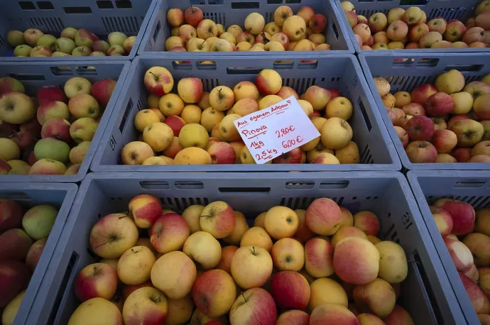 Framed Print : Range of Apples Print, Bad Cannstatt Market, Germany Framed Print : Range of Apples Print, Bad Cannstatt Market, Germany
