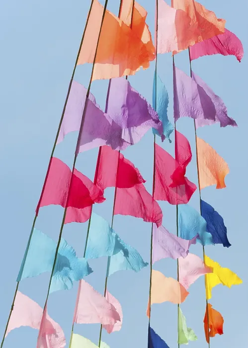 Framed Print : Colorful Flags Print Framed Print : Colorful Flags Print