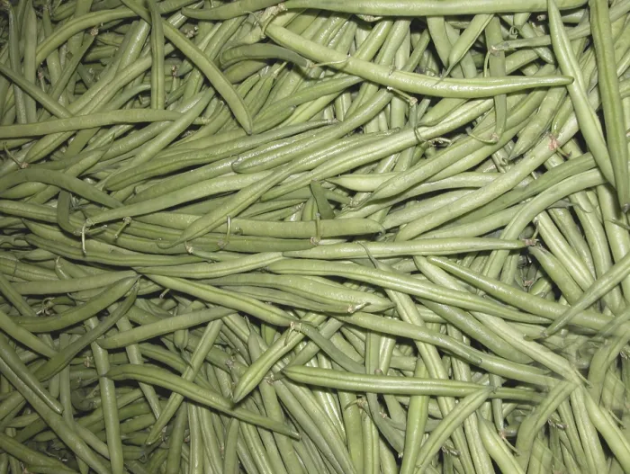 Framed Print : String Beans Print - Fresh Green Vegetables
