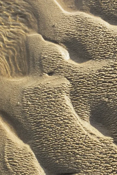 Framed Print : Agami Beach Sand Patterns Print
