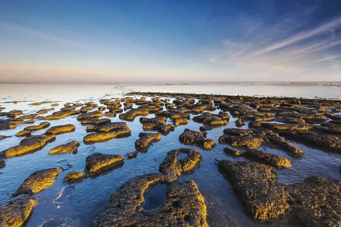 Framed Print : Wierumerwad Waddenzee Sandbars Print