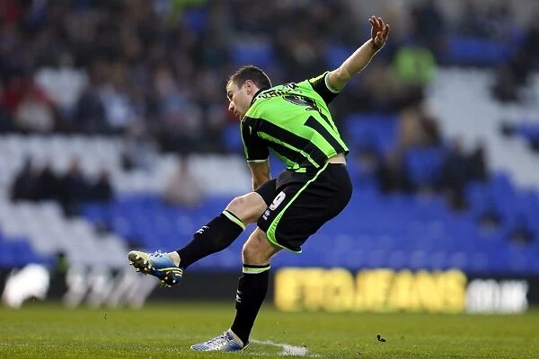 Ashley Barnes Equalizer: Brighton & Hove Albion vs. Birmingham City, Championship Match, January 2013