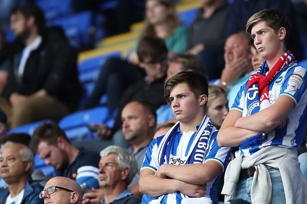 Brighton and Hove Albion Fans Passionate Display at Reading's Madejski Stadium, Sky Bet Championship 2016