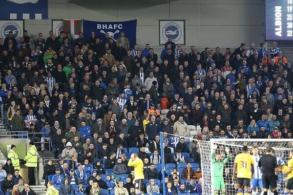 Brighton and Hove Albion FC: Electric Atmosphere as Fans Roar for Victory vs. Wigan Athletic in Sky Bet Championship (4 November 2014)