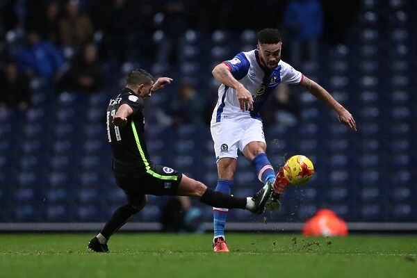 Brighton and Hove Albion vs. Blackburn Rovers: EFL Sky Bet Championship Clash at Ewood Park (13DEC16) - Intense Action on the Field