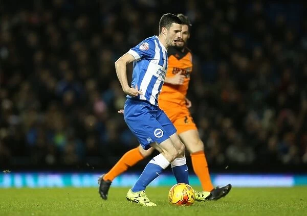 Brighton and Hove Albion vs Ipswich Town: A Championship Battle at American Express Community Stadium (29DEC15)
