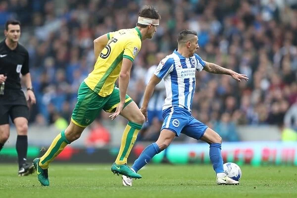 Brighton and Hove Albion vs. Norwich City: A Fierce EFL Sky Bet Championship Showdown (29OCT16)