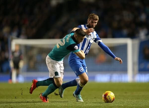 Brighton & Hove Albion vs Wigan Athletic: Paddy McCourt's Action-Packed Performance (8 November 2014)