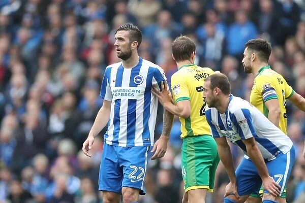 Championship Clash: Brighton & Hove Albion vs. Norwich City (29OCT16)