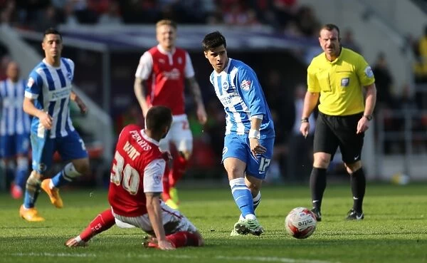 Joao Carlos Teixeira in Action: Brighton and Hove Albion vs. Rotherham United, Sky Bet Championship 2015