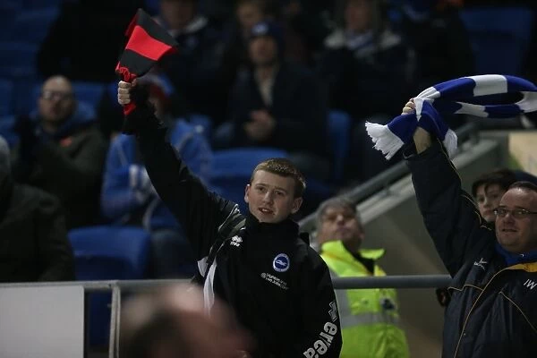 Passionate Albion Fans: A Moment of Pride at the American Express Community Stadium (January 2015) - Brighton & Hove Albion vs Ipswich Town