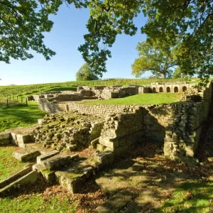 Chesters Roman Fort Print: General View of Bathhouse and Latrine