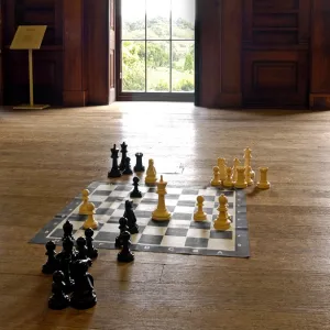 Belsay Hall chess board N070013