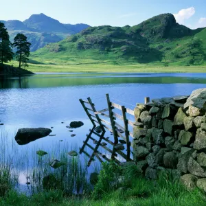 Blea Tarn, Lake District J060231