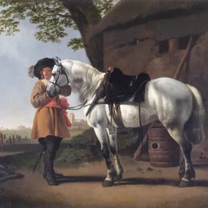 C Collection: Abraham van Calraet