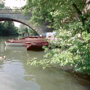 Castle Bridge