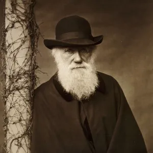 Charles Darwin K980123