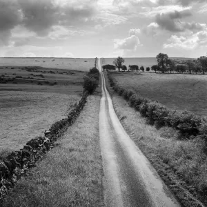 Northumberland Collection: Stamfordham