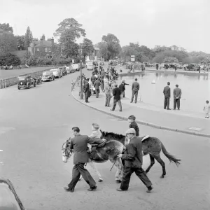 Towns Framed Print Collection: Heath Park