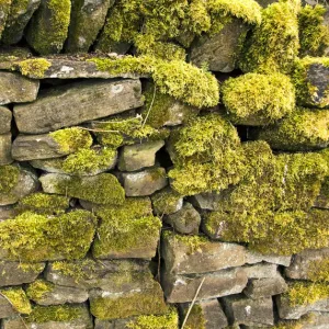 Dry stone wall DP005708