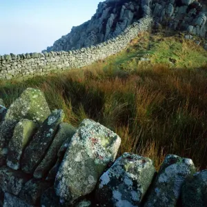 Hadrian's Wall Print: Cuddys Crags Landscape