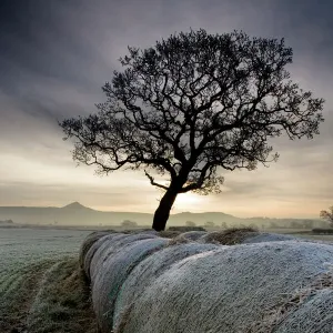 Roseberry Topping Print, a winter morning landscape Roseberry Topping Print, a winter morning landscape