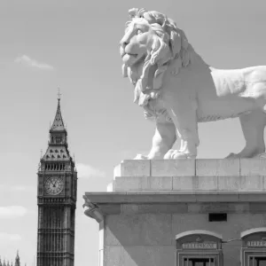 Print of Coade Lion with Big Ben in the background, a photograph on paper