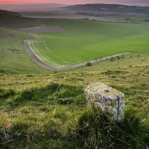 South Downs Waymarker Print, East Sussex