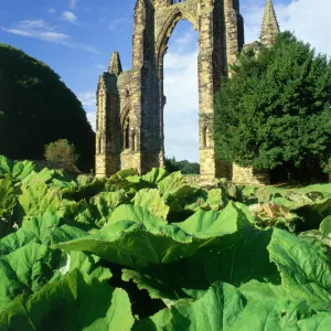 More features Poster Print Collection: Romantic Ruins