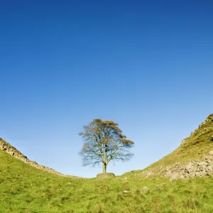 Hadrian's Wall Print, Northumberland Landscape