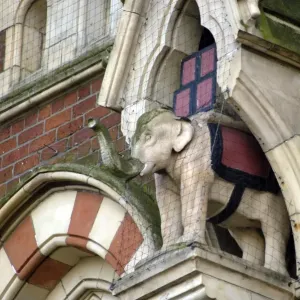 Elephant Print in Niche, Sunderland Elephant Print in Niche, Sunderland