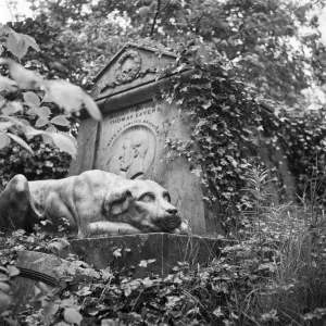 Highgate Cemetery a073965