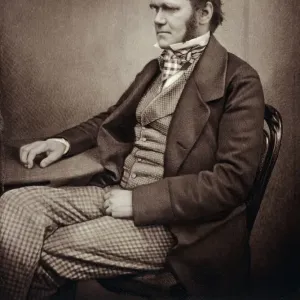 Charles Darwin Sepia Toned Print Charles Darwin Sepia Toned Print