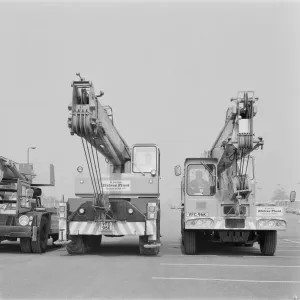 Cranes