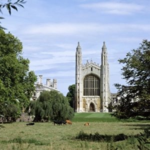Towns and Cities Collection: Cambridge