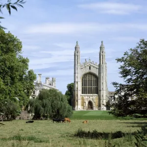 Towns and Cities Metal Print Collection: Cambridge