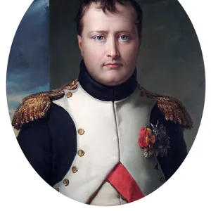 Waterloo 200 Poster Print Collection: Portraits of Napoleon