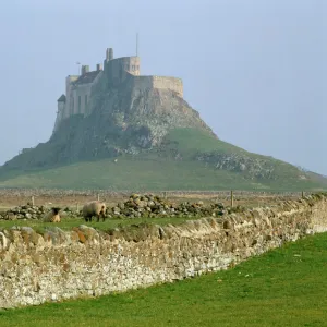 Lindisfarne Castle K011703