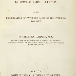 Darwin's scientific research