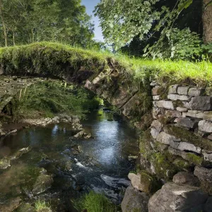 Packhorse Bridge DP169852