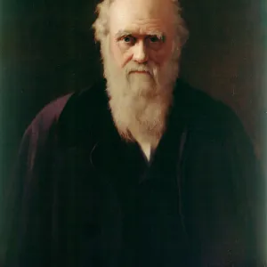 Reilly - Charles Darwin J970164