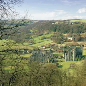 Rievaulx Abbey J870075