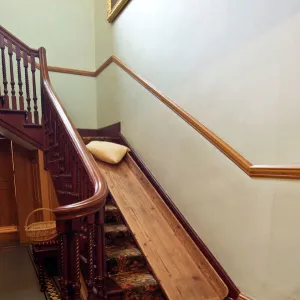 Stair slide made by Darwin for his children N080595