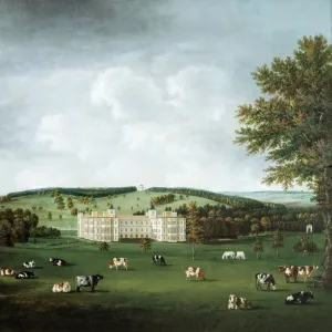 Landscape Gardens Collection: Audley End