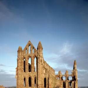 Whitby Abbey J850258