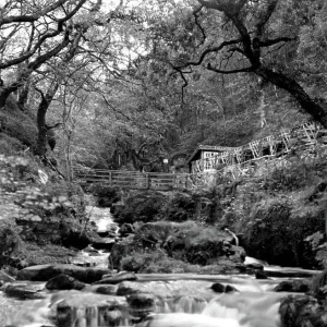 Cherry Bridge Print, Lyn Valley, Devon Cherry Bridge Print, Lyn Valley, Devon