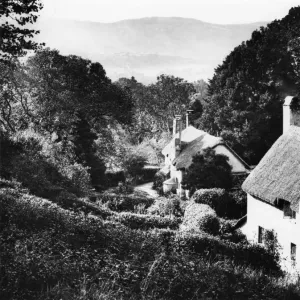 Selworthy Green Print, c.1927, a GWR view of thatched cottages in Somerset Selworthy Green Print, c.1927, a GWR view of thatched cottages in Somerset